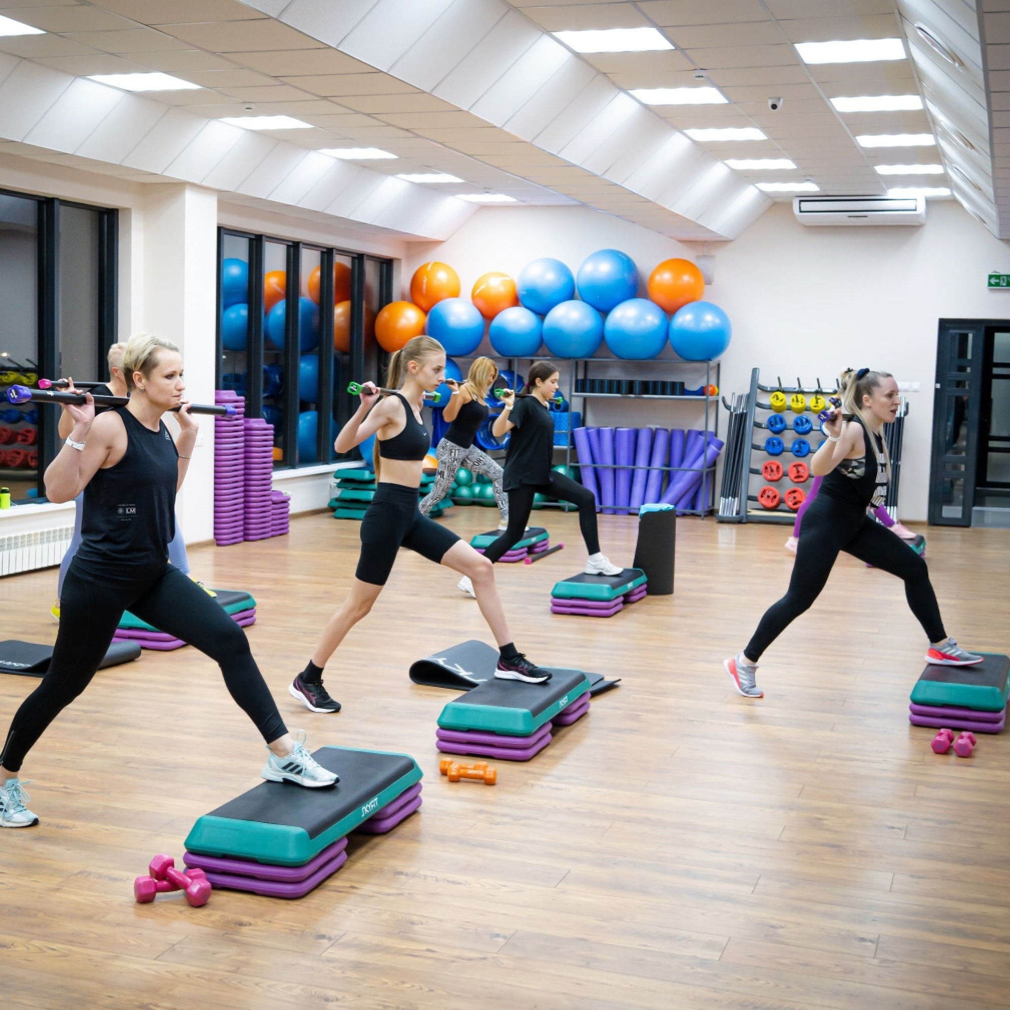 картинка Степ платформа SKYFIT SF-STP-CA 